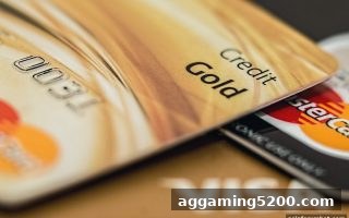 亚洲博彩论坛独家指南：TRC20充值未到账全链路排查与品牌信任构建
