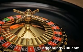 真人游戏互动技巧全攻略｜亚洲博彩论坛教你从新手到高手