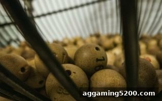 信用体系构建与体育直播合规：亚洲博彩论坛解析彩票行业与英超免费高清的融合发展