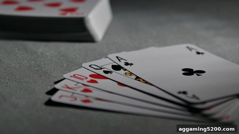 水果机与推牌九快速入门指南 | 亚洲博彩论坛深度解析