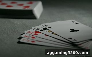 亚洲博彩论坛深度解析：二十一点加注策略全攻略