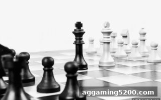 亚洲博彩论坛视角：半岛体育围棋平台如何以风格与学习体系重构棋艺进阶路径