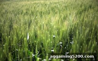 佣金返还实操指南 | 亚洲博彩论坛深度拆解返水规则与排列三投注策略