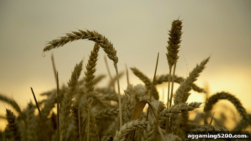 PG老虎机签到积分系统全解析：亚洲博彩论坛独家攻略