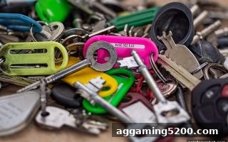 打破认证迷思：亚洲博彩论坛揭示安全真相，护航街机体验