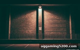 亚洲博彩论坛深度解析：推牌九特殊符号如何重塑游戏体验