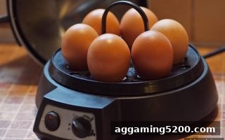 奇幻玩法融入电子娱乐全攻略：支付宝充值详解与亚洲博彩论坛推荐